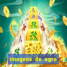 imagens de agro racoes guarani